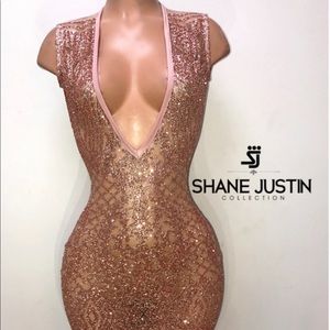 Shane Justin (Dare To Be Vintage) dress